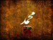رسول امين